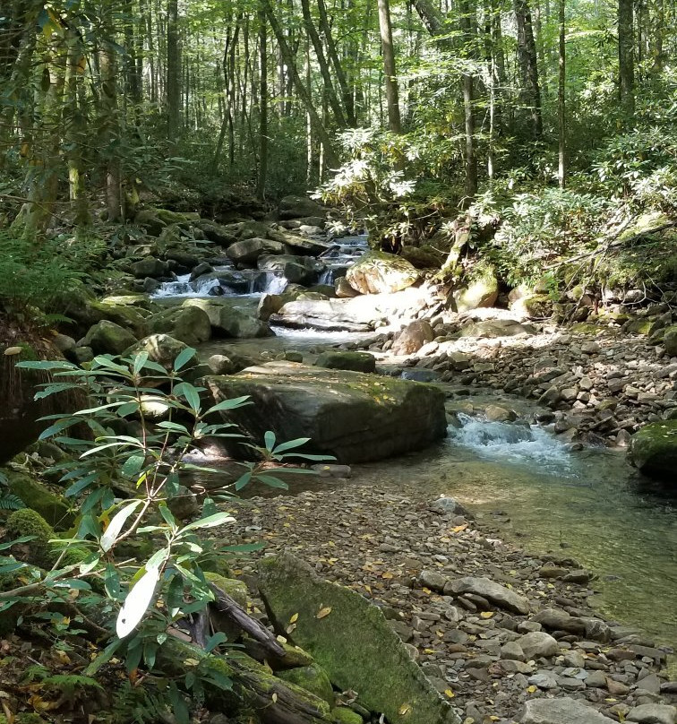 The Devil's Bathtub-Fort Blackmore必去景点