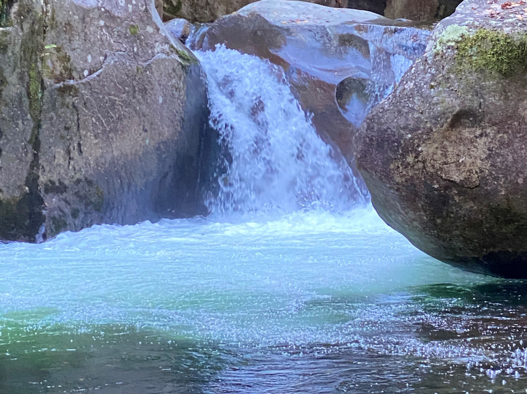 Mouse Creek Falls景点图片