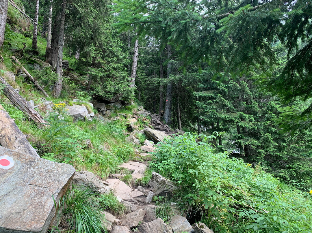 Balea Waterfall-Cartisoara必去景点