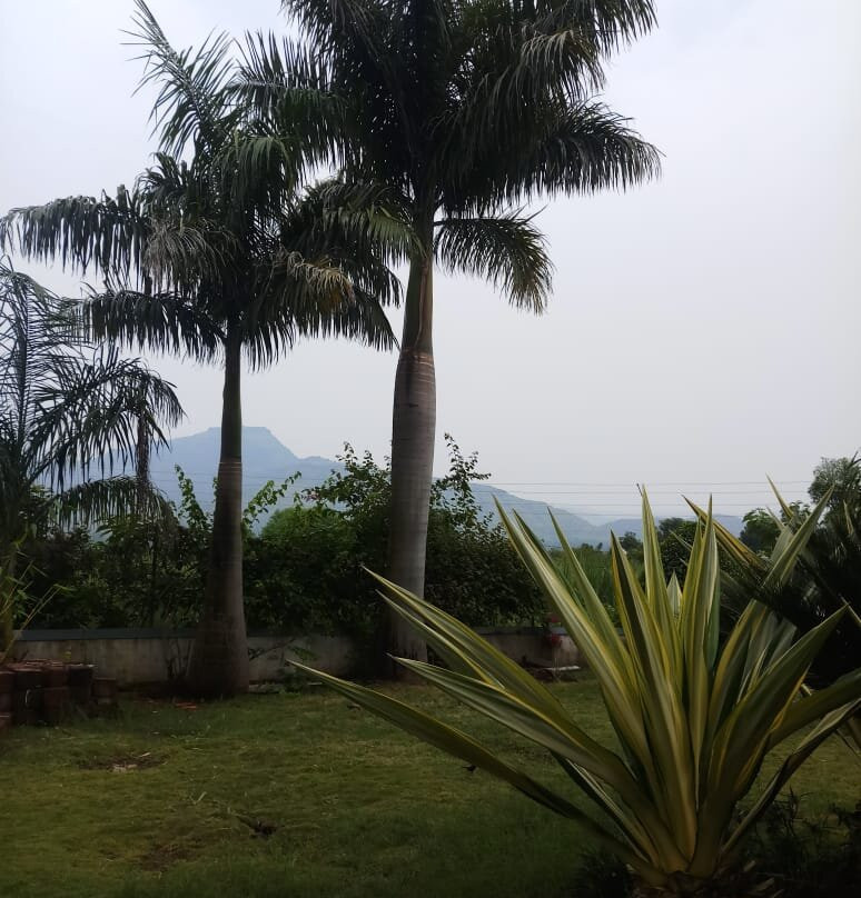 V Resorts Anandvan Wai主图