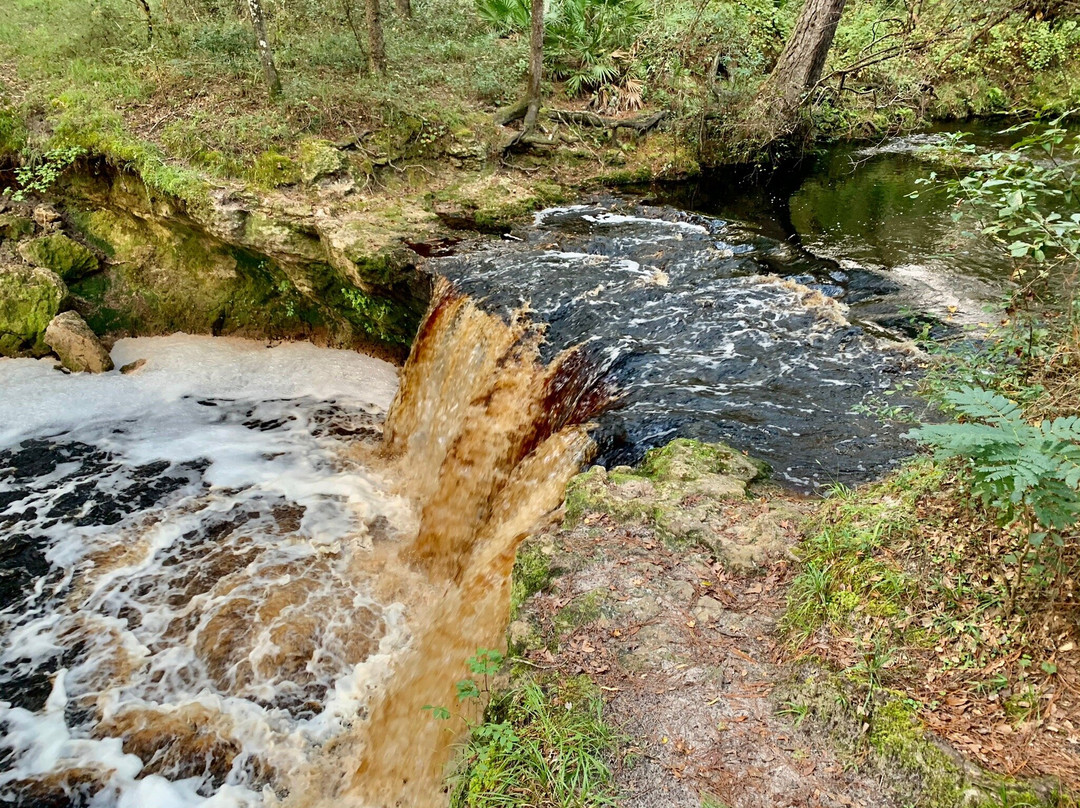 Falling Creek Falls景点图片