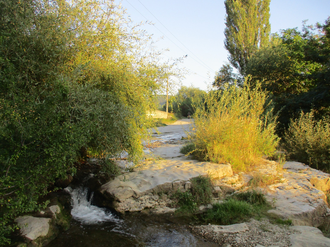 Olkhovka River景点图片