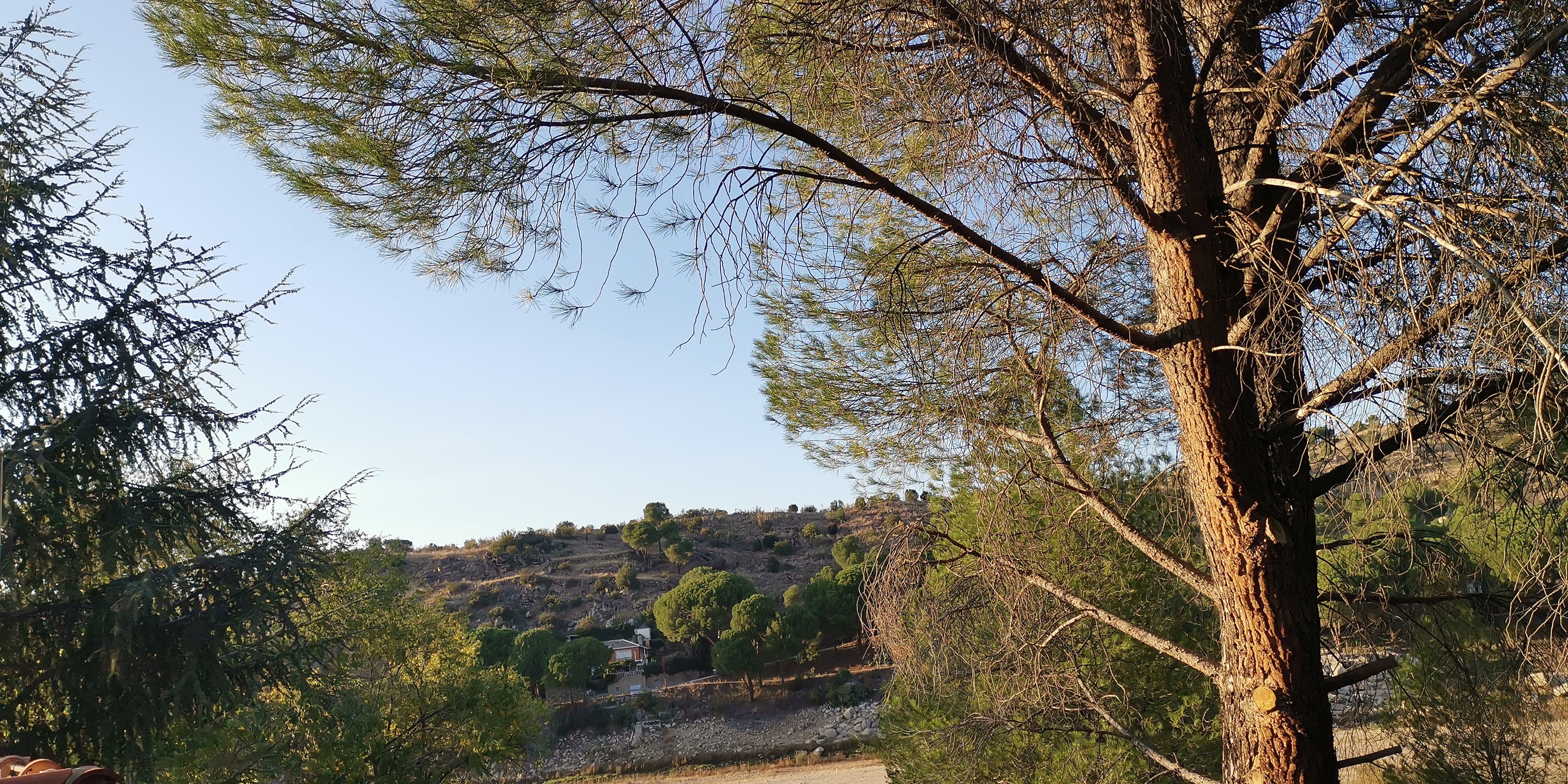 Hotel Rural El Arca de Noe-官方