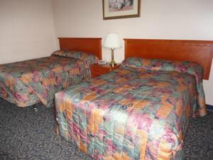 Matador Motel