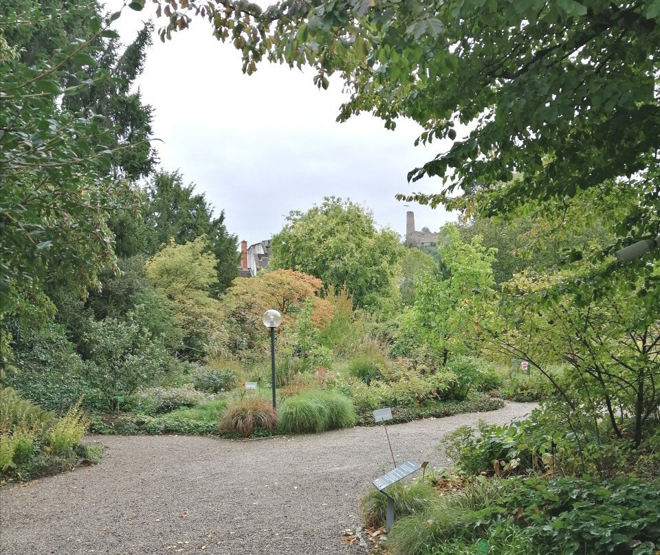 Schau- und Sichtungsgarten Hermannshof-魏因海姆必去景点
