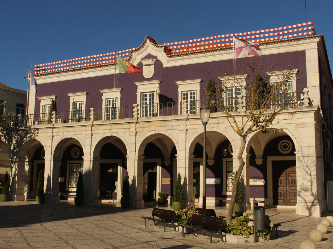 Praça do Bocage景点图片