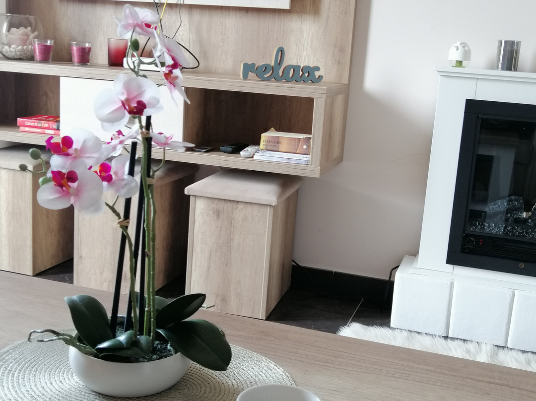 Zlatibor Hills Stars主图