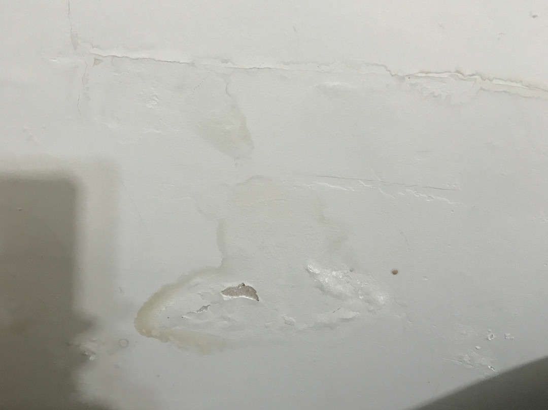 Piloes Palace Hotel主图