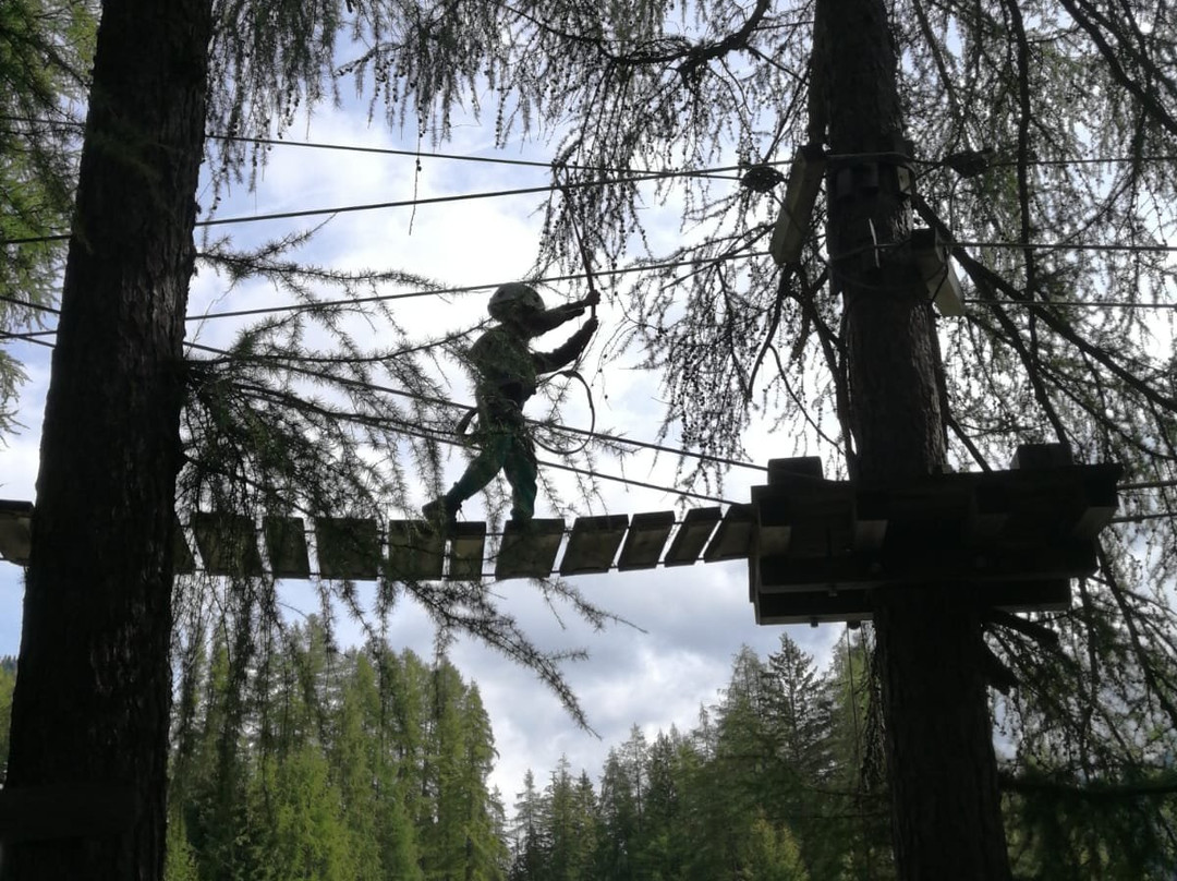 Parco Avventura Colfosco-Colfosco必去景点