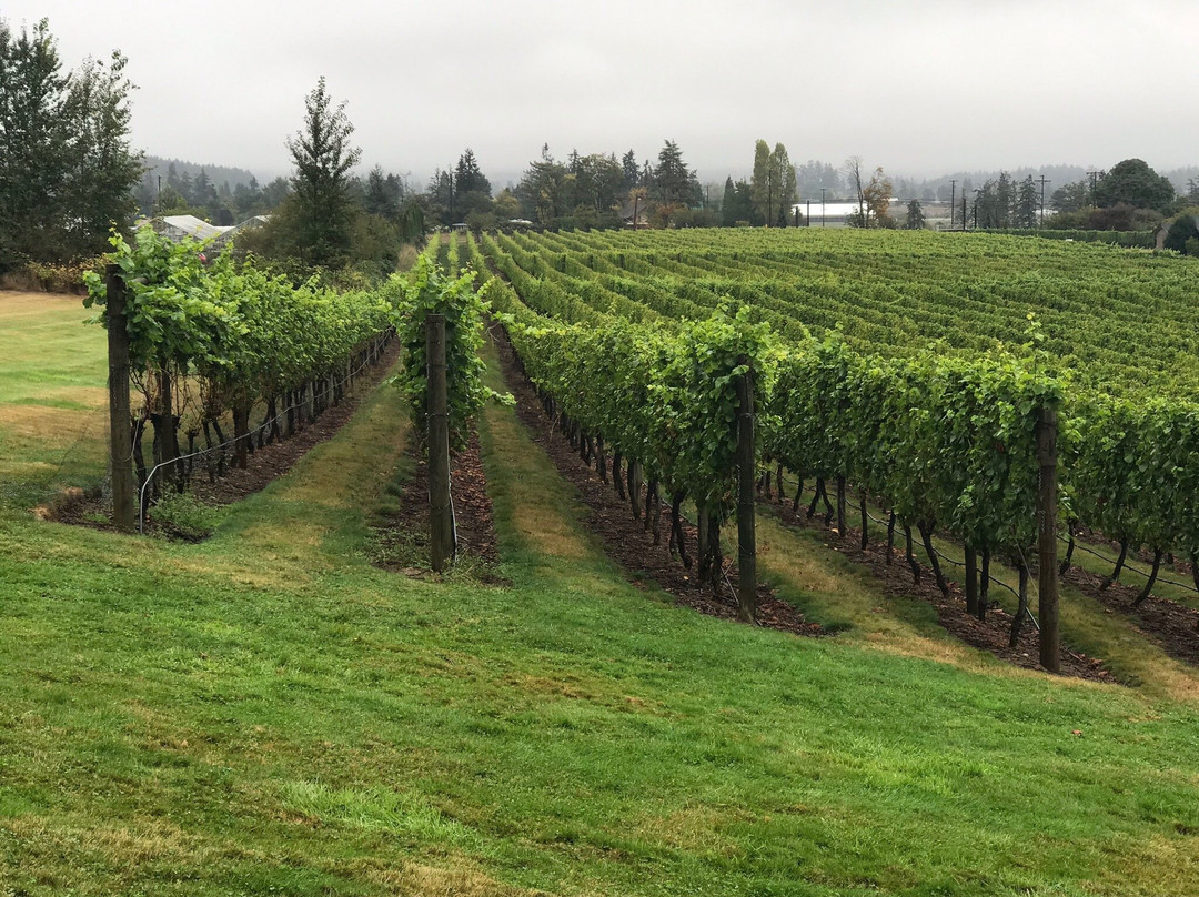 Church and State Wines -Brentwood Bay景点图片