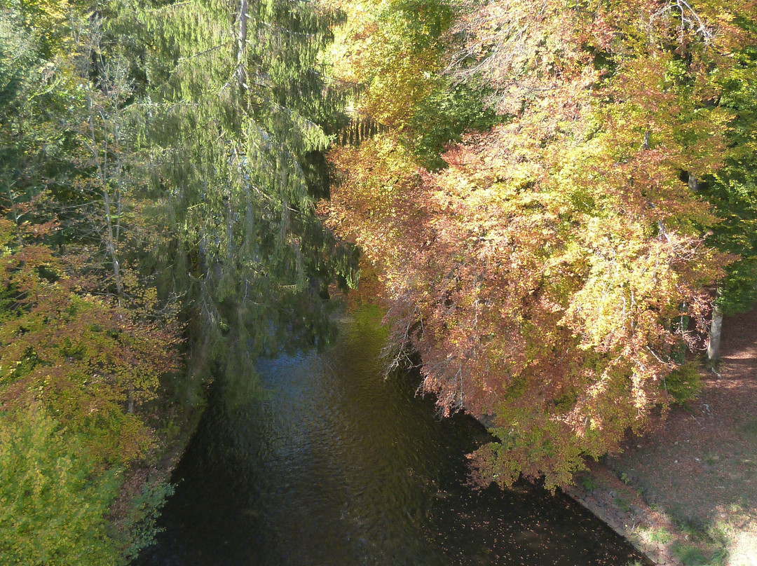 Office de Tourisme des Grands Lacs du Morvan景点图片