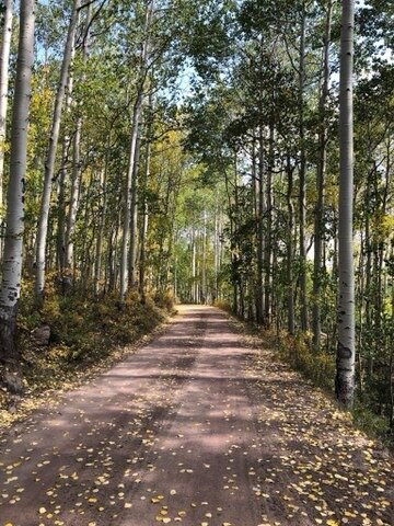 Yampa Valley Anglers-斯廷博特斯普林斯必去景点