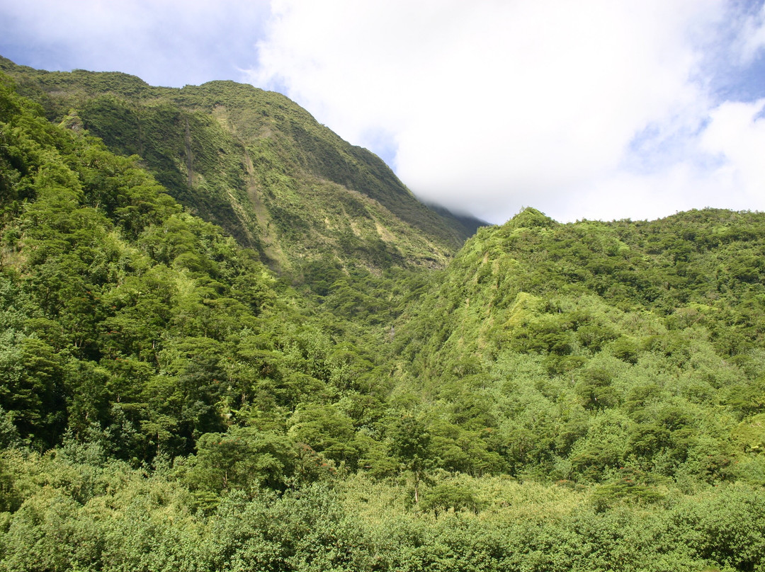 Vallée de la Papenoo景点图片