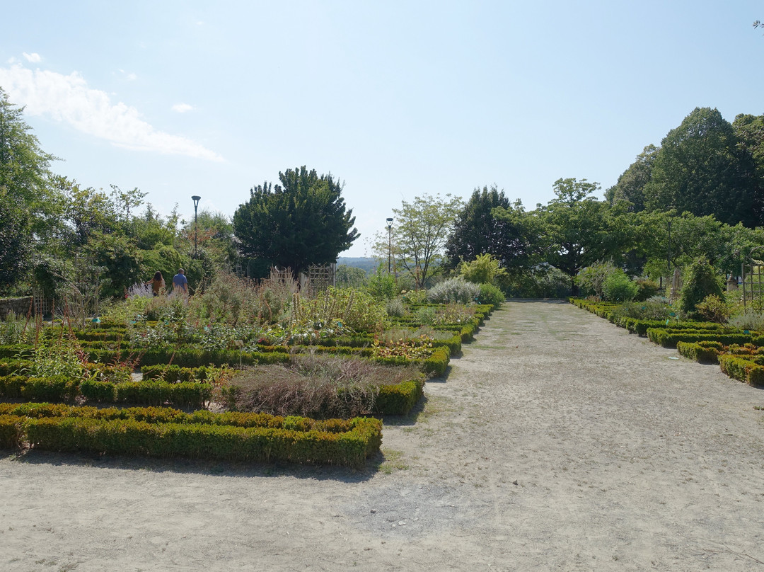 Jardins de l'Évêché景点图片