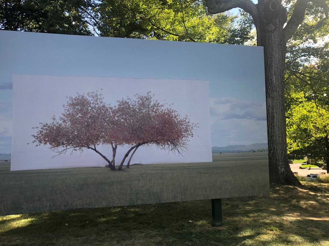 DeCordova Sculpture Park & Museum-Lincoln必去景点