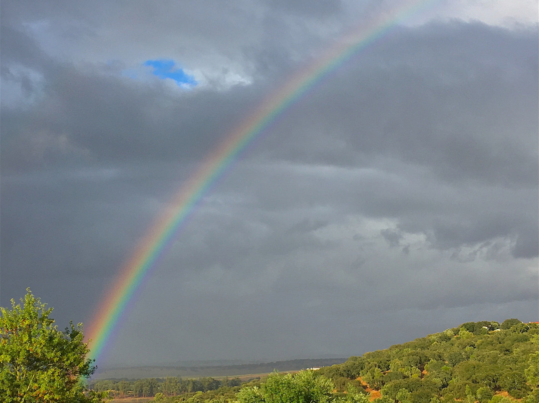 Pousada Convento Arraiolos主图