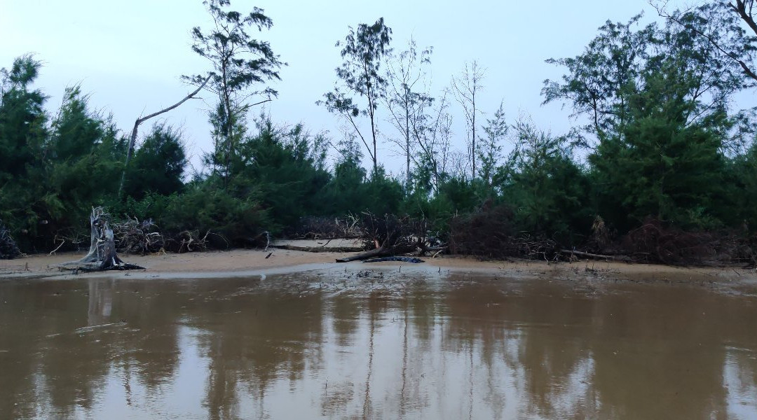 Mallickaa Resort Tajpur主图