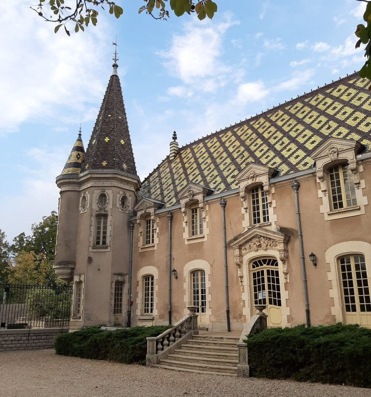 Château Corton C.景点图片