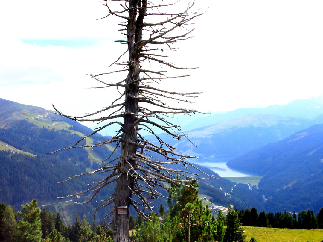 Isskogelbahn-加洛斯必去景点