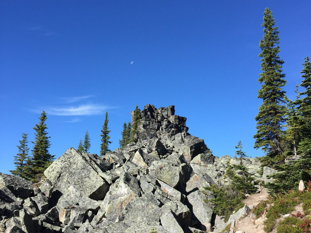 Shipyard & Titanic Trail Hike-Tumbler Ridge必去景点