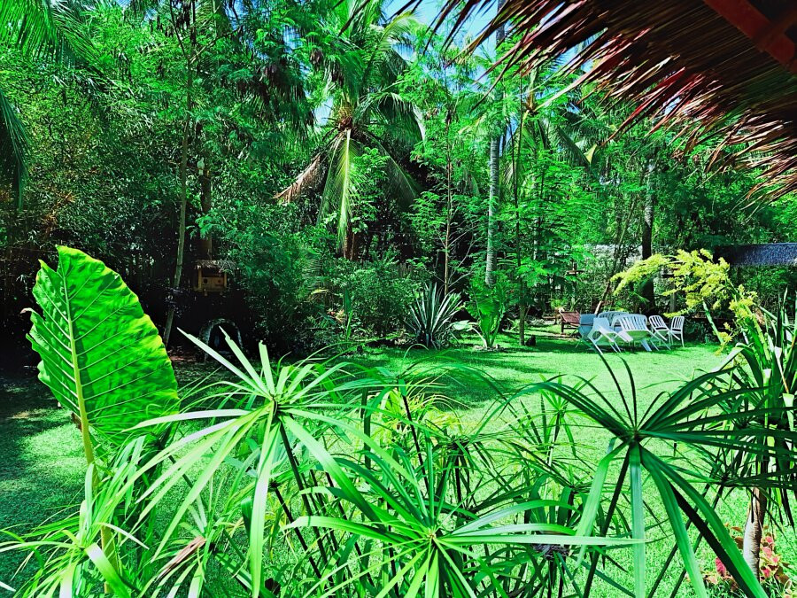 Archery-Asia-莫阿尔博阿尔必去景点