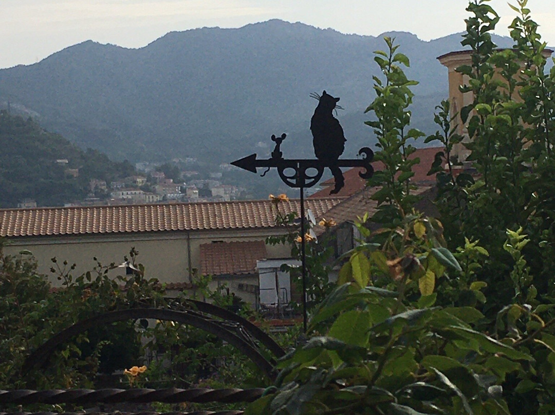 B&B Gattacicova主图