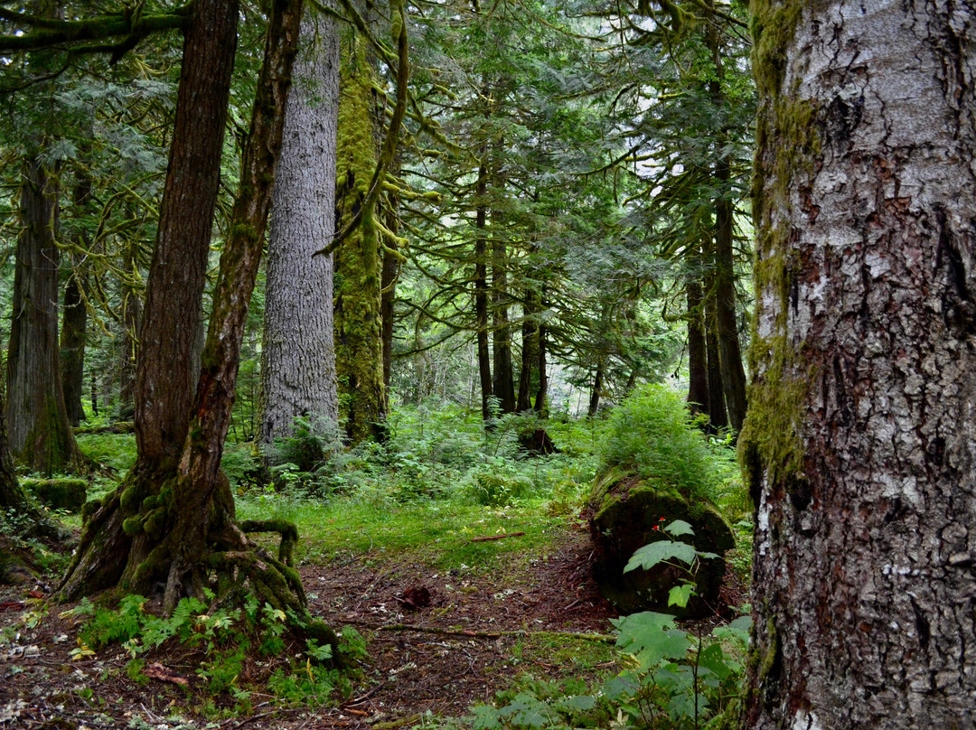 Exchamsiks River Provincial Park-Kitimat-Stikine District必去景点