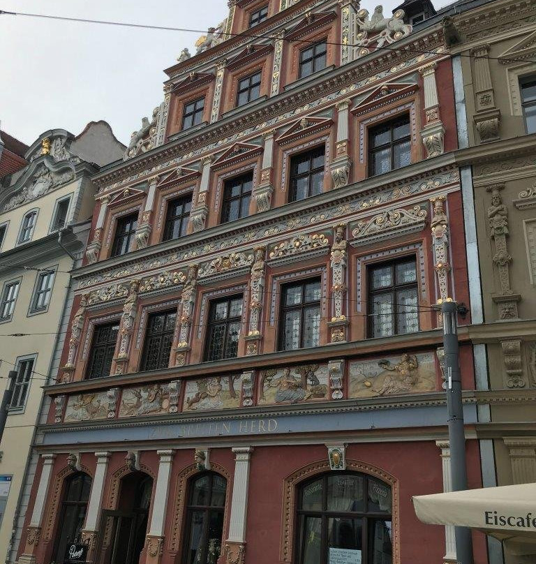 Haus zum breiten Herd-爱尔福特必去景点