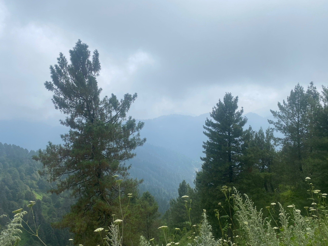 Miranjani-Abbottabad必去景点