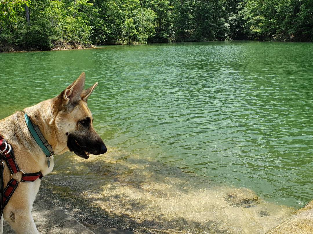 William Bankhead National Forest-Double Springs必去景点