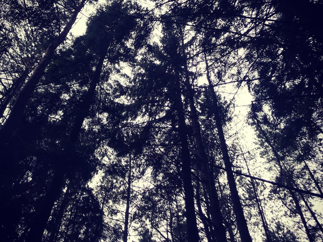 velvethills.co.uk景点图片