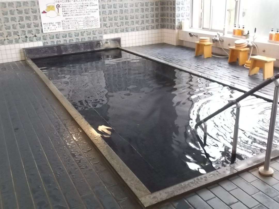 Hotel New Sakai主图