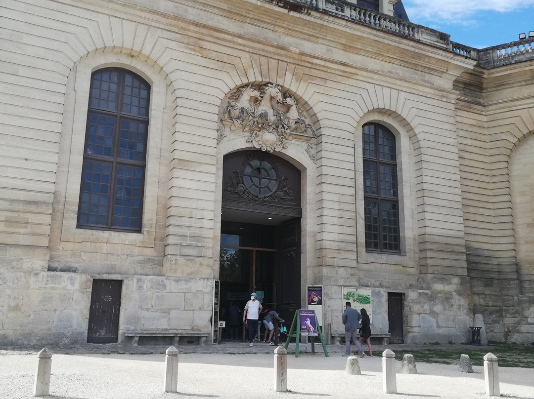 Musée Vivant du Cheval景点图片