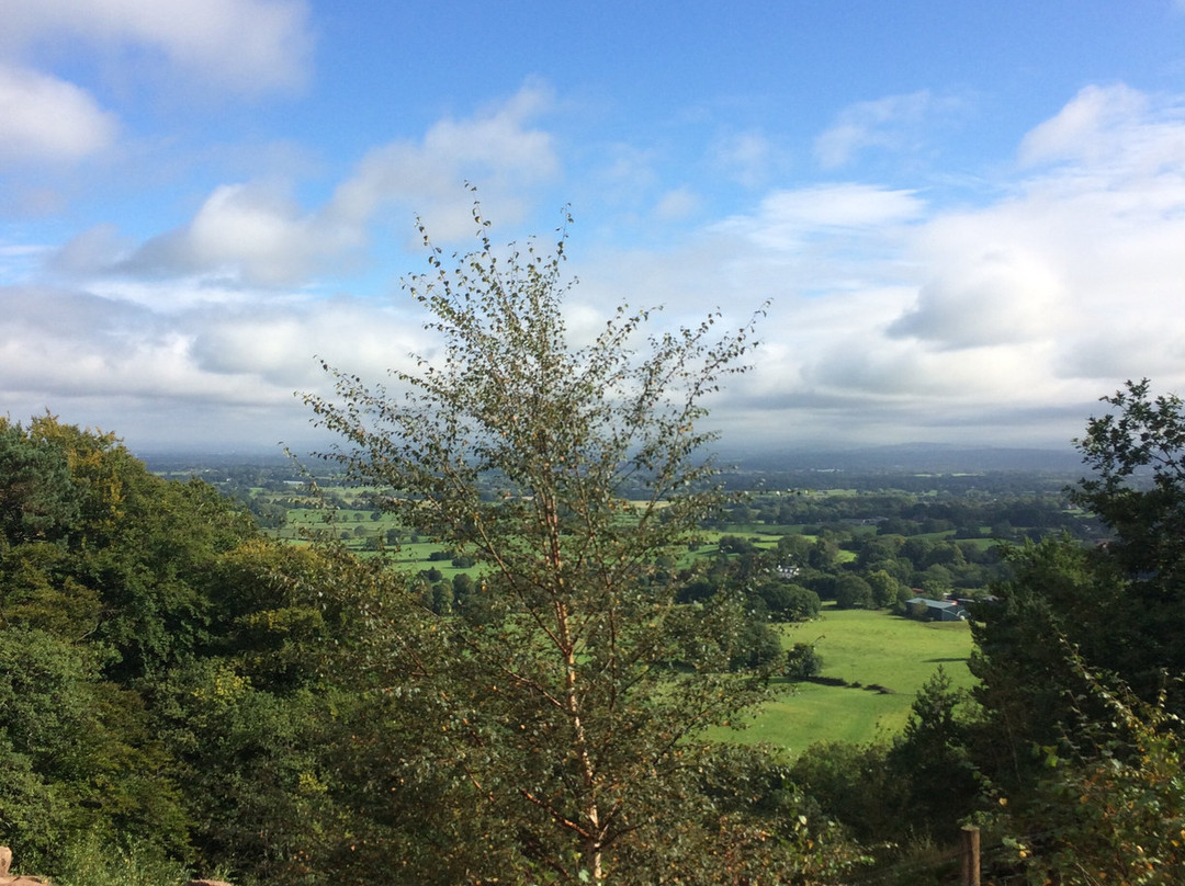 Alderley Edge Woodland Walk-阿尔德利埃奇必去景点