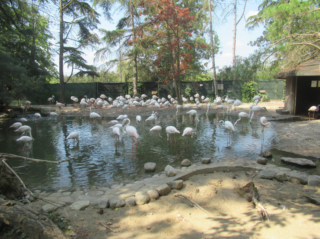 Il Villaggio delle Cicogne景点图片