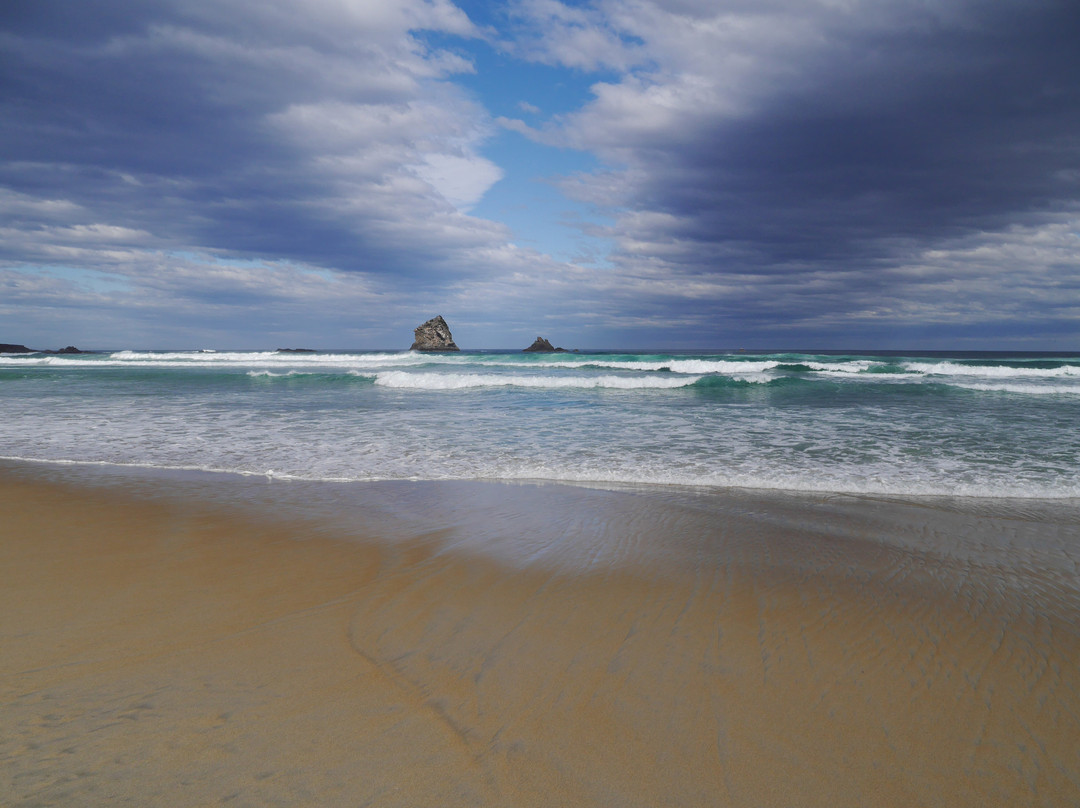 Sandfly Bay Track-但尼丁必去景点