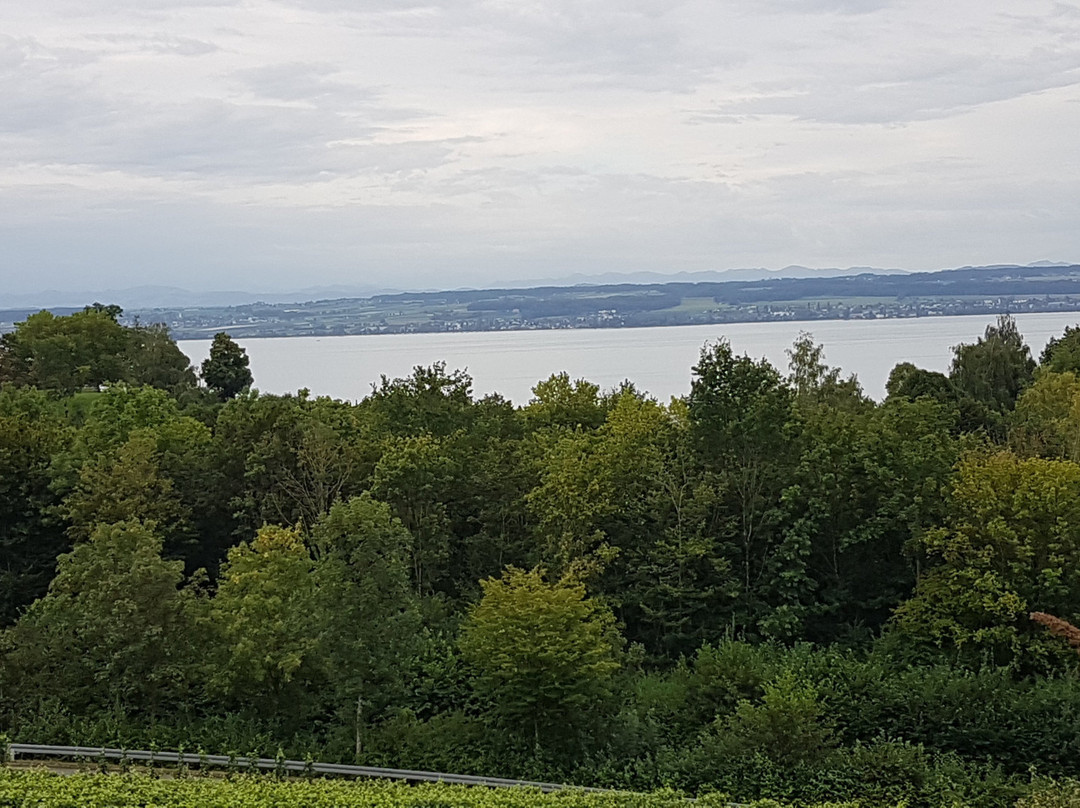 Pension Haus am Trielberg主图