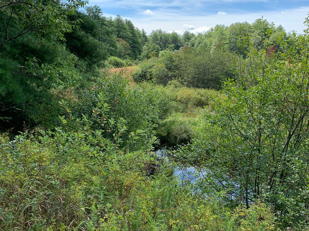 Cheshire Recreational Rail Trail景点图片