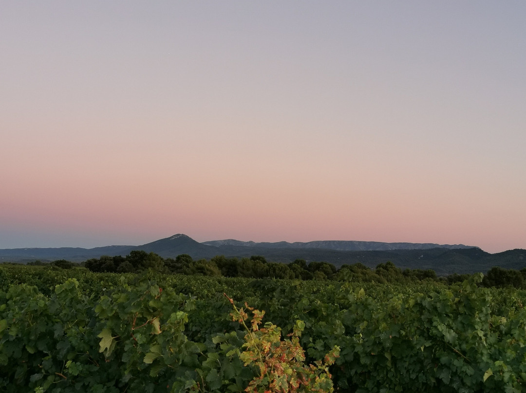 Domaine du Grand Callamand主图