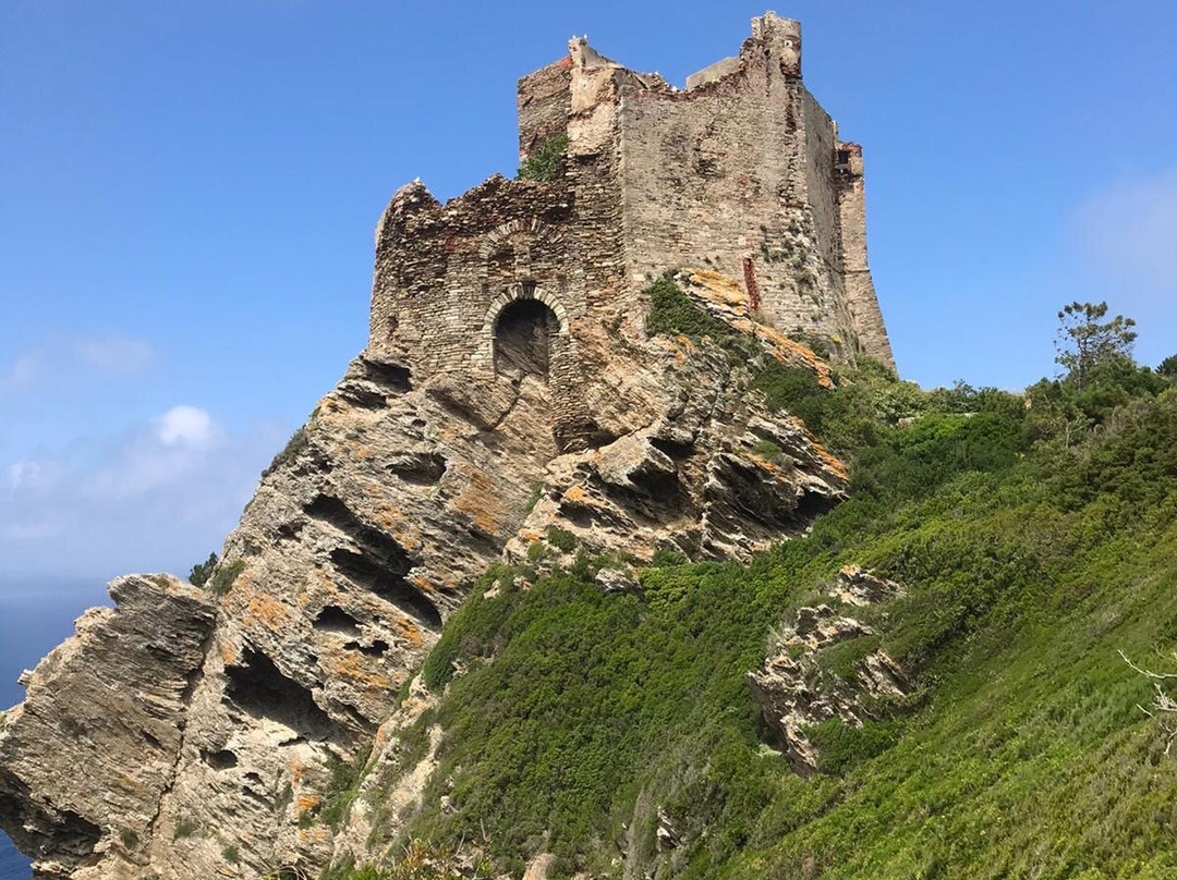 T.H.E. Toscana Hiking Experience-Castelfiorentino必去景点