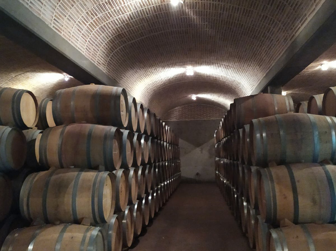 Bodegas La Legua-Fuensaldana必去景点