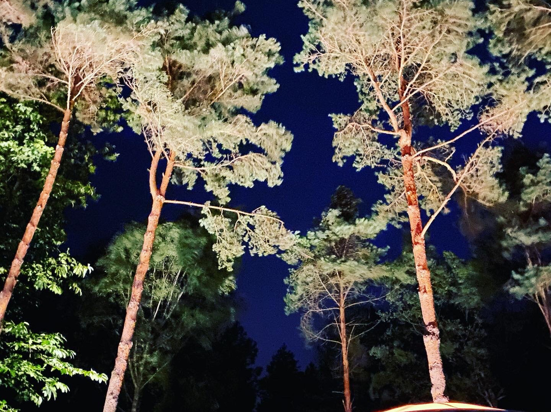 Go Wild At The Warren景点图片