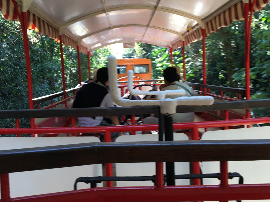 P'tit Train景点图片