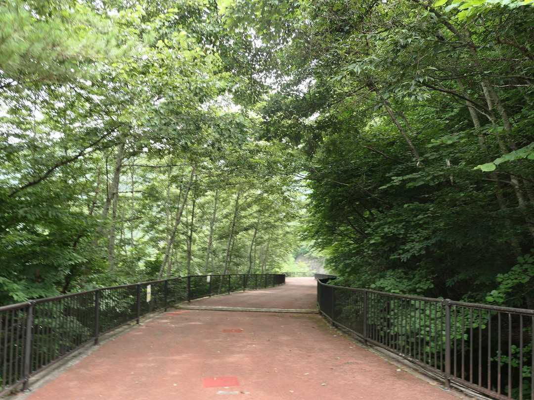 Kawamata Dam-日光市必去景点