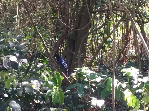 Piscinas Naturais Barra da Lagoa-弗洛里亚诺波利斯必去景点