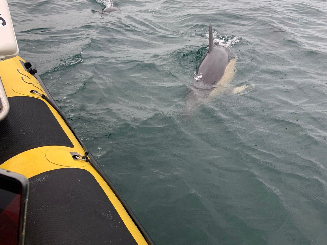 St Ives Boat Rides-圣艾维斯必去景点