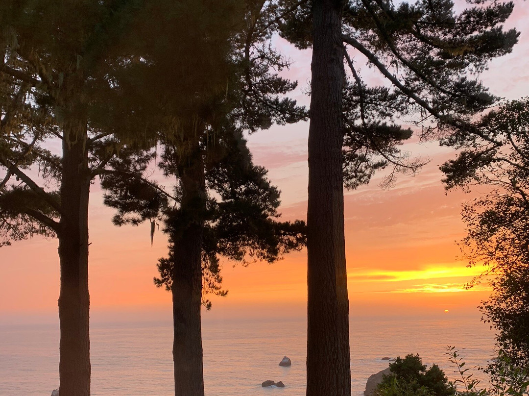 Lost Whale Inn主图