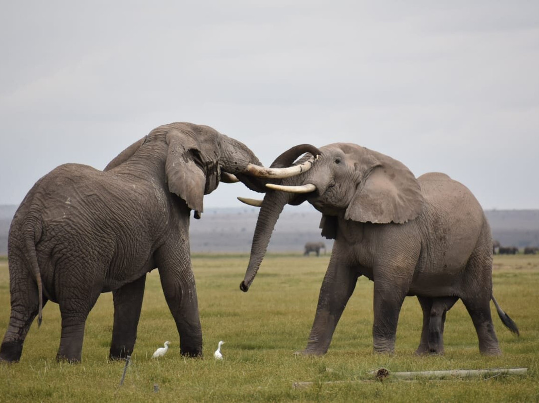 African Guide-瓦塔木必去景点