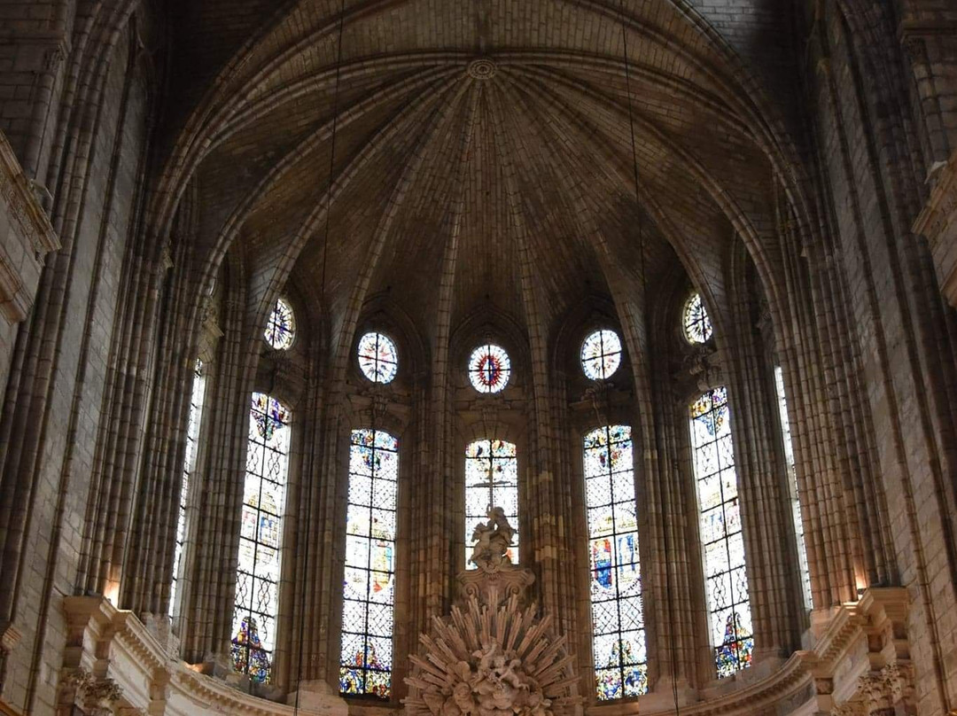 Cathédrale Saint-Nazaire de Béziers景点图片
