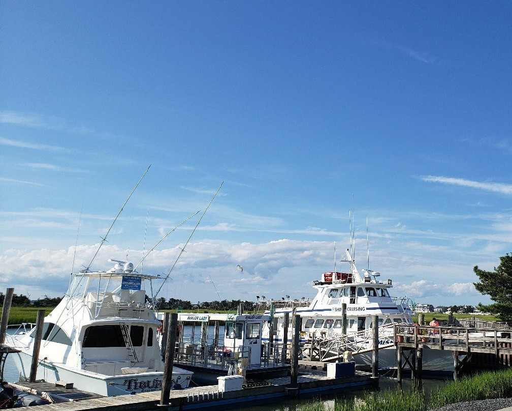 Miss Avalon Fishing景点图片